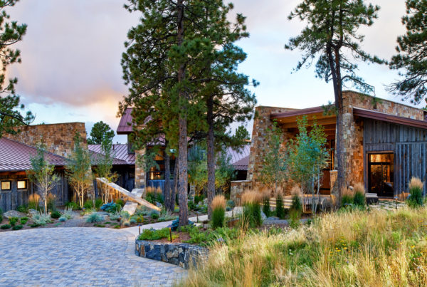 Home of the year pictured in its mountain setting with large douglass firs