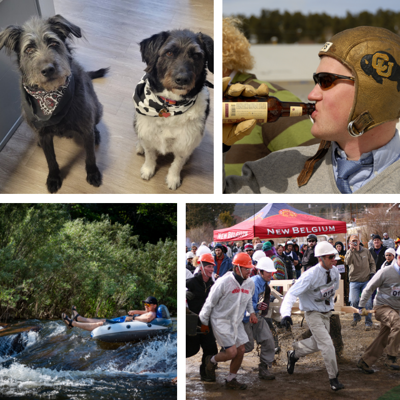 Dogs and team enjoying various activities